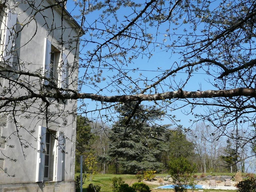 Chateau De La Comtesse Saint-Martin-Petit Kültér fotó